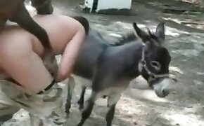Pornozinho da pornolandia mostra essa gostosa morena sentando com tudo na vara desse marmanjo que quer muito gozar dentro dessa xoxota maravilhosa - donkey, videos with beastiality